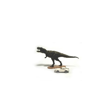 ティラノサウルス 約8m